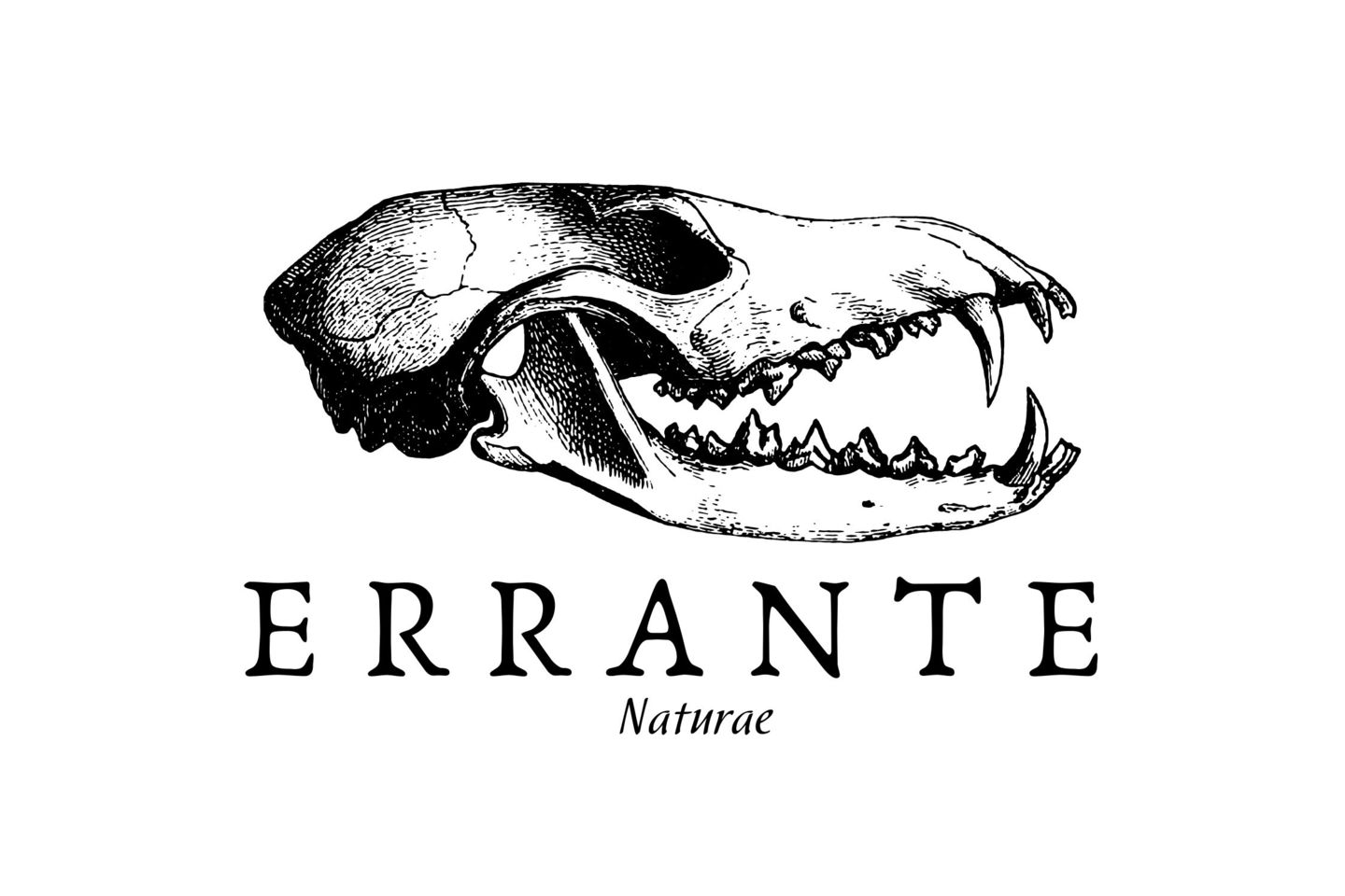 ERRANTE - 1