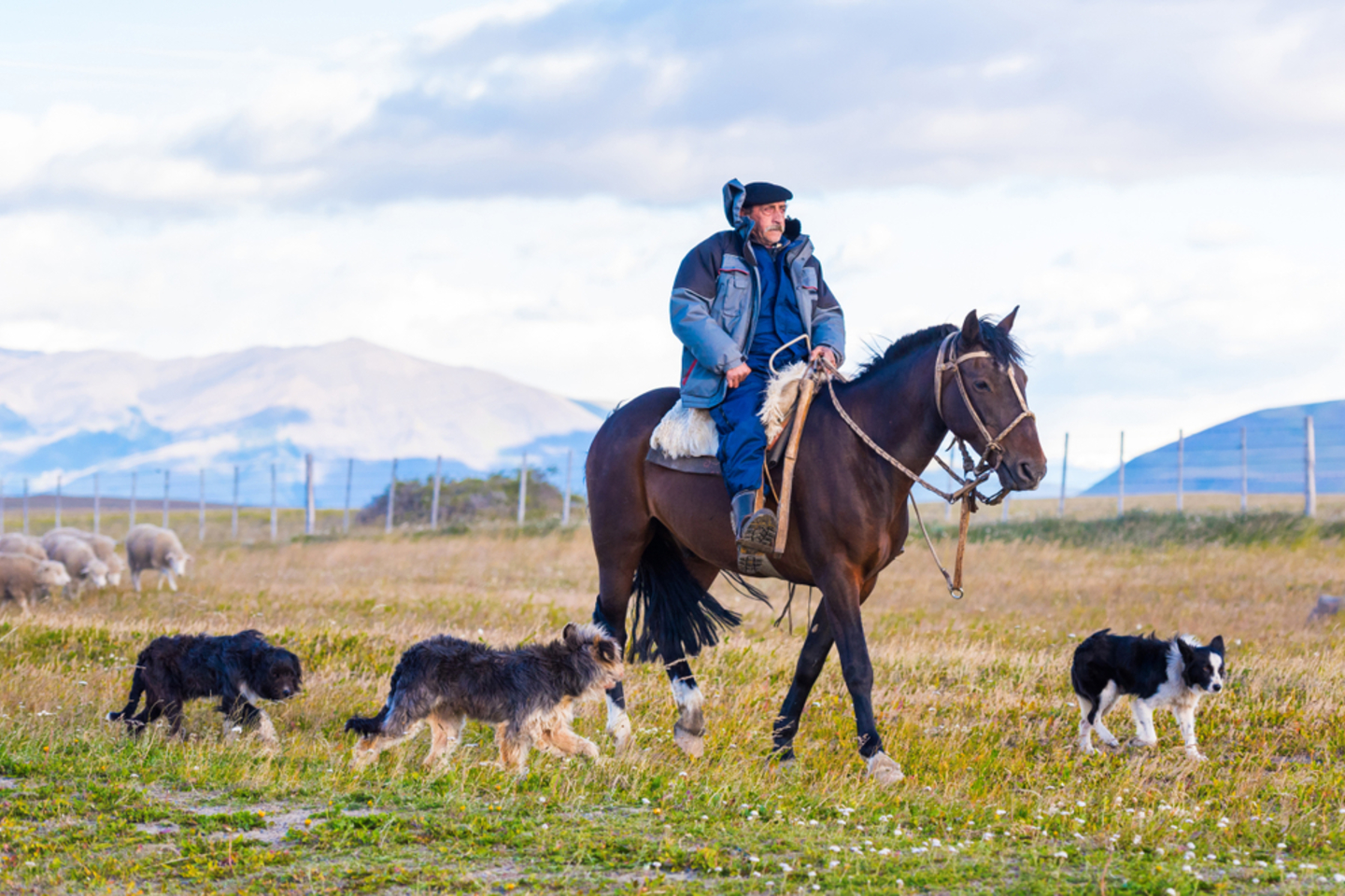 Forjando los campos de Magallanes