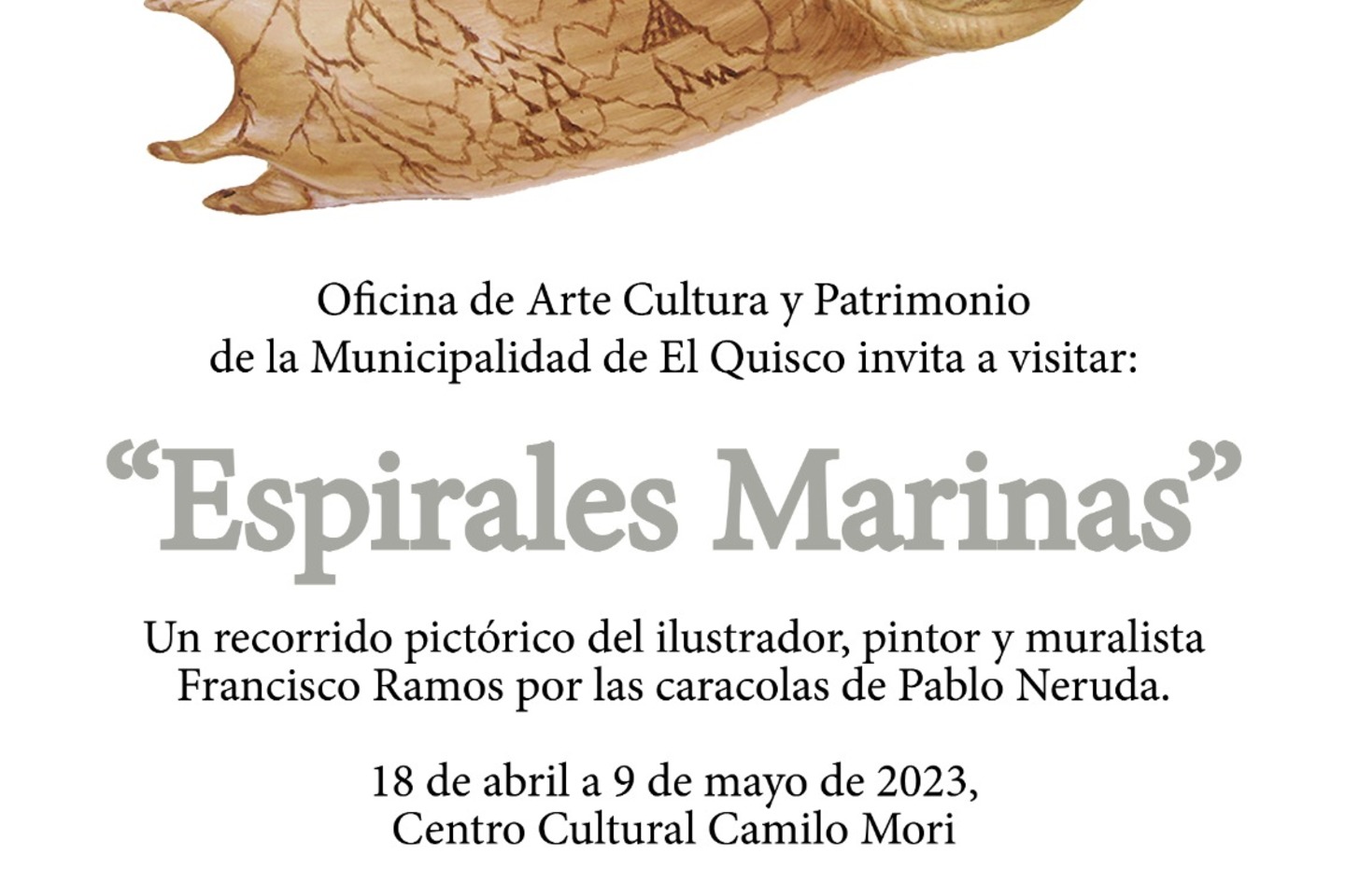 Afiche Espirales Marinas