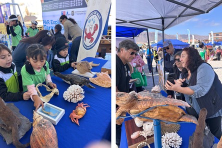 Título de la imagen