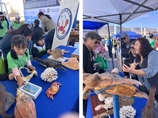 Título de la imagen