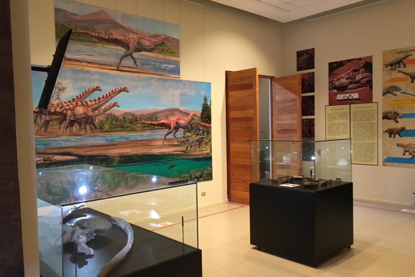 Sala paleontologica