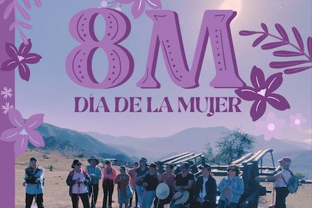 Post Instagram 8 de Marzo Día Internacional de la Mujer 8M Manifestación Frase Reivindicativa Floral Minimalista Moderno Morado - 1