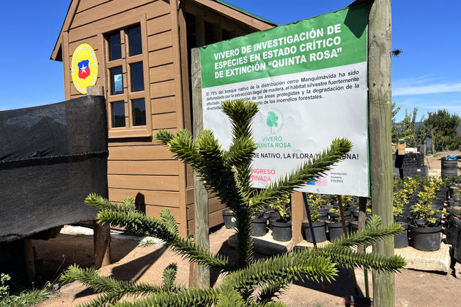 Administraciòn  Museo Botanico