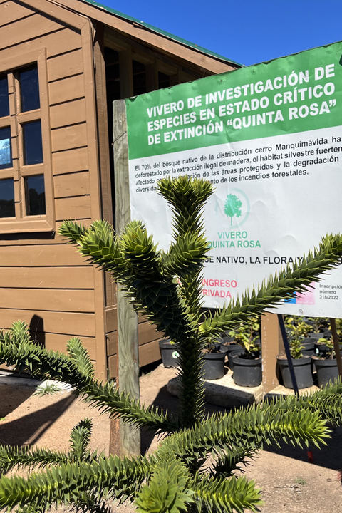 Administraciòn  Museo Botanico