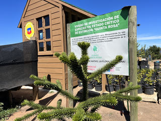 Administraciòn  Museo Botanico