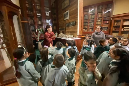 Política educativa MSV
