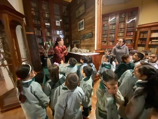 Política educativa MSV