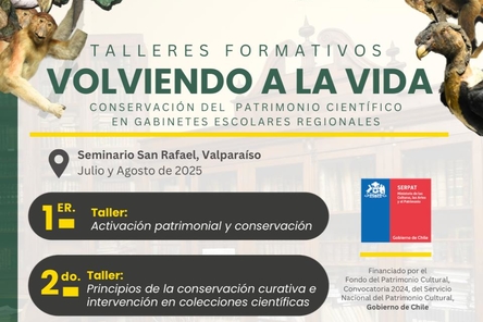 Volviendo a la Vida
