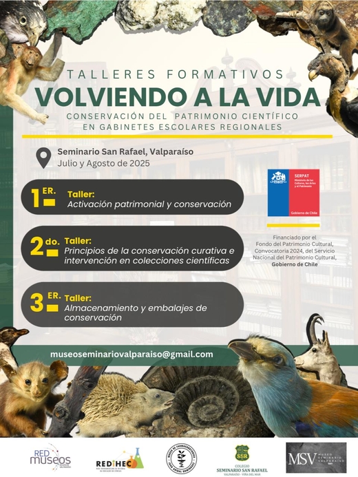 Volviendo a la Vida