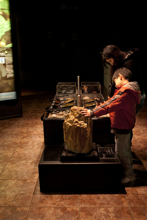 Museo de Historia Natural de Concepción