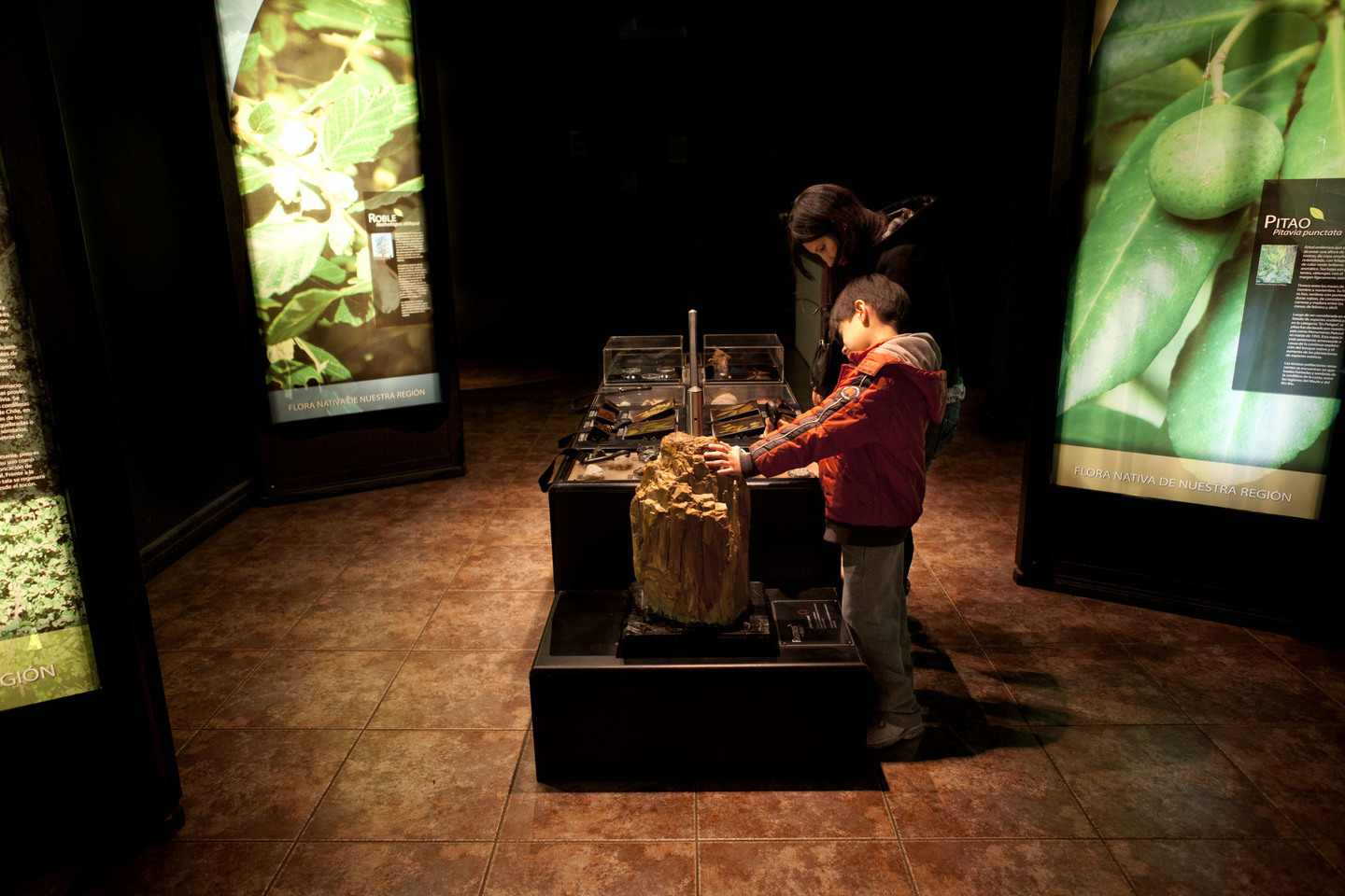 Museo de Historia Natural de Concepción