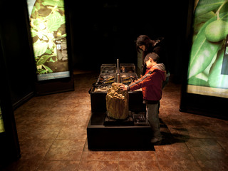 Museo de Historia Natural de Concepción