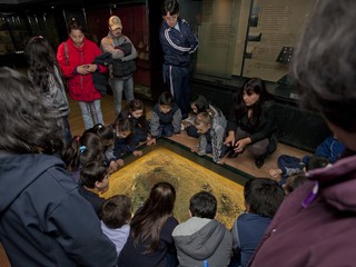 Museo Regional de la Araucanía