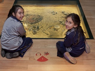 Museo Regional de la Araucanía