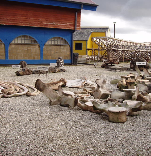 Museo Regional de Ancud Museo Regional de Ancud