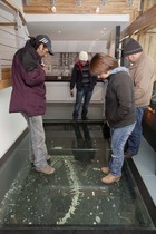 Museo Antropológico Martín Gusinde de Puerto Williams