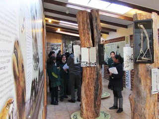 Museo Histórico Municipalidad Natales