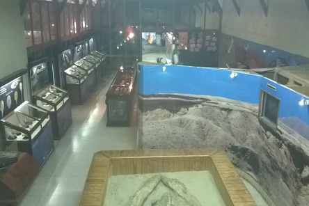 MUSEO PALEONTOLOGICO D CALDERA