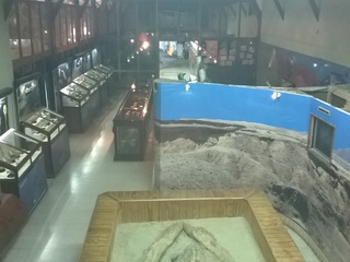 MUSEO PALEONTOLOGICO D CALDERA