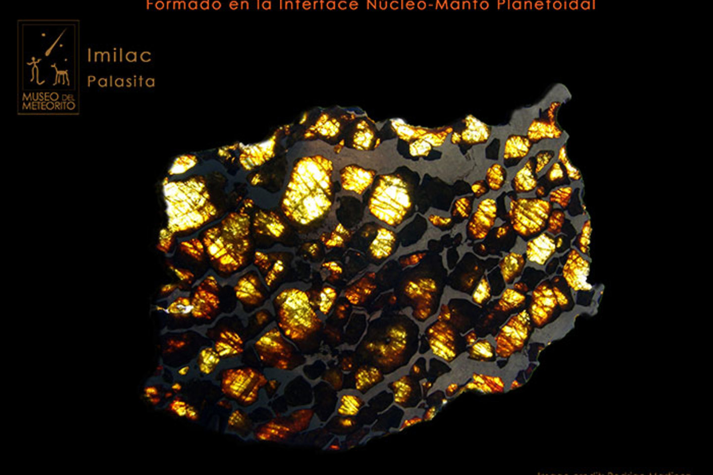 La Palasita de Imilac. Este meteorito sin dudas el más hermoso de Chile, proviene de la interface Núcleo metálico-Manto silicatoso de un planetoide destruido.