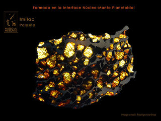 La Palasita de Imilac. Este meteorito sin dudas el más hermoso de Chile, proviene de la interface Núcleo metálico-Manto silicatoso de un planetoide destruido.