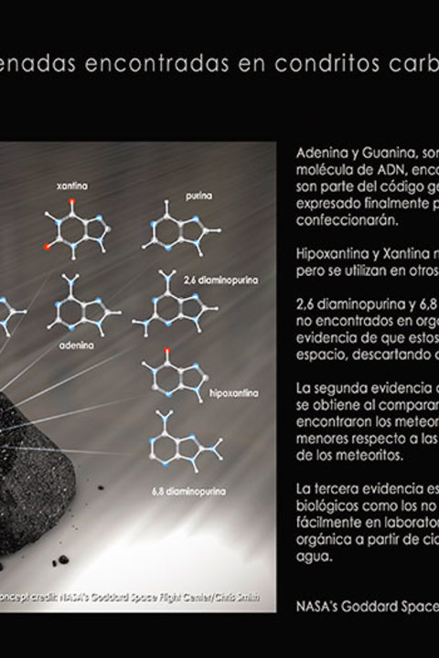 Condritos carbonaceos precursores de la Vida. Este grupo de meteoritos se caracteriza por traer complejos componentes orgánicos que utilizamos todos los seres vivientes de la tierra, postulándose como semillas de vida dispersas por el cosmos.