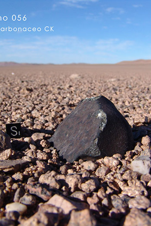 El Medano 056 Condrito Carbónaceo. Este fue el primer Condrito Carbónaceo que encontramos, en el sector denominado El Medano, cercano al observatorio astronómico de Paranal, Hoy contamos 5 hallazgos de diferentes caídas pertenecientes a este grupo tan valioso de meteoritos.