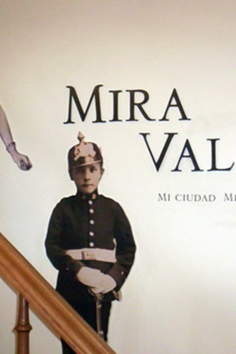 Mira Valdivia