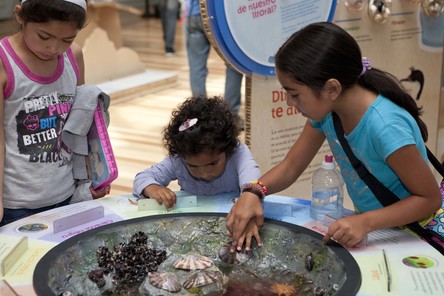 Museo de Historia Natural de Valparíso