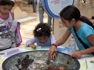 Museo de Historia Natural de Valparíso