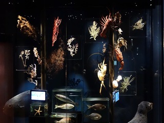 Museo de Historia Natural de Valparaíso