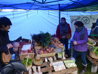 Feria de trueque de plantas