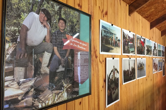 Colección Fotográfica